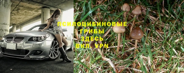 spice Алексеевка