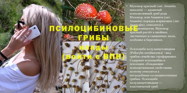 гидра Аркадак