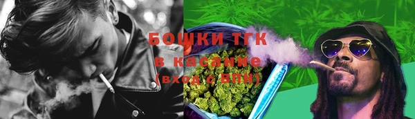 гидра Аркадак