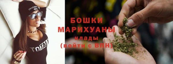 спайс Арсеньев