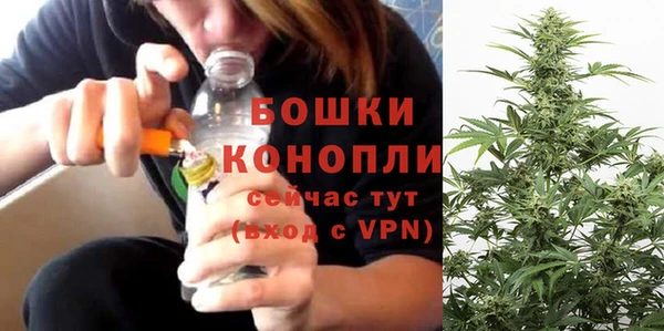 гидра Аркадак