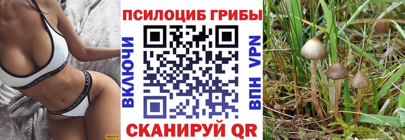 Галлюциногенные грибы MAGIC MUSHROOMS  даркнет сайт  Саки 